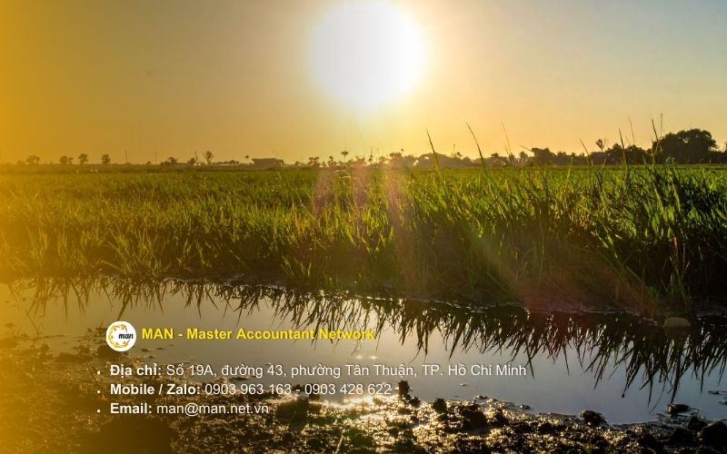 Cơ sở pháp lý và sự thay đổi hệ thống văn bản về quy trình thuỷ lợi